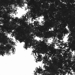 无码A片啊灬啊用力灬嗯灬漫画
